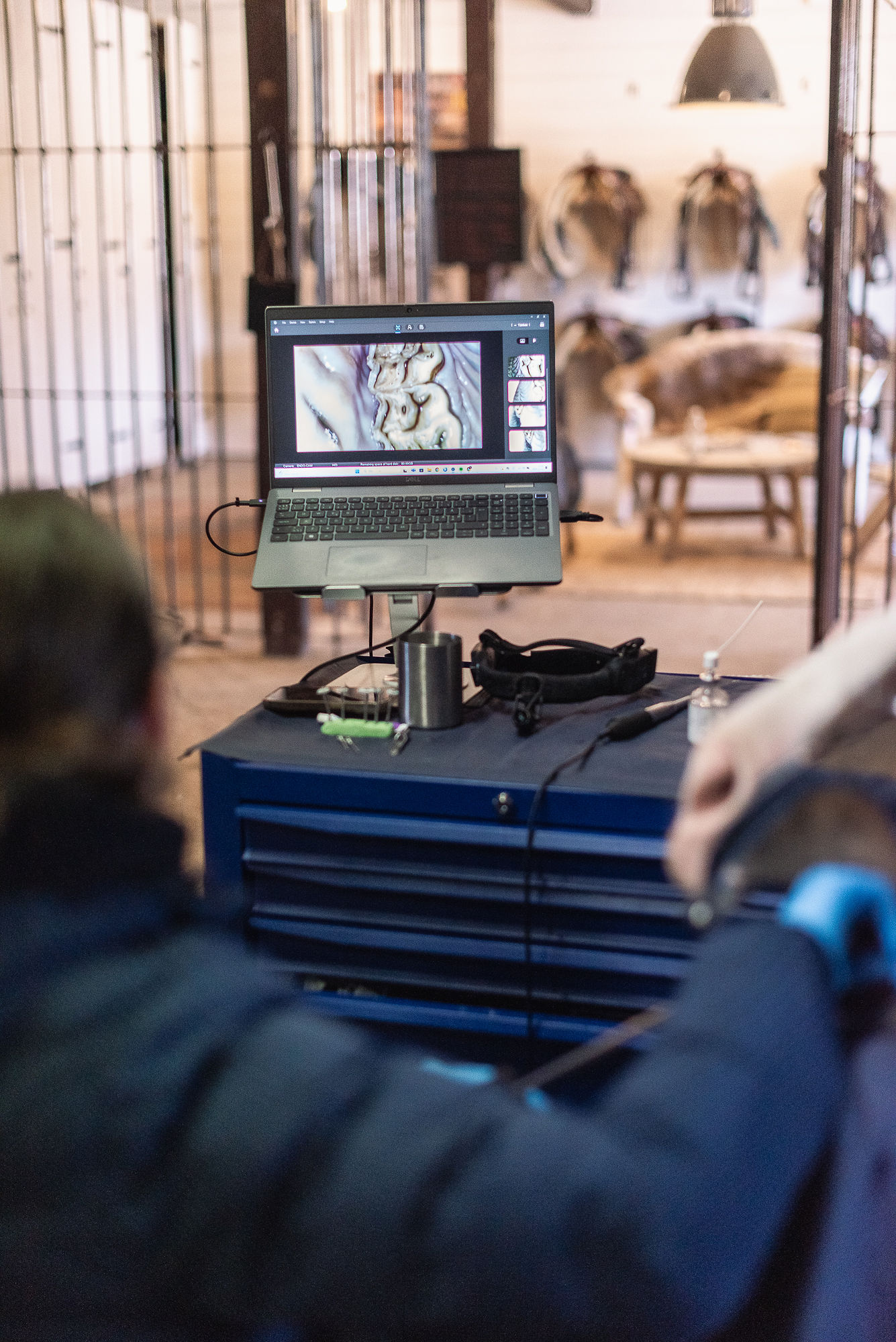 Rätt bett till din häst, vi hjälper dig!