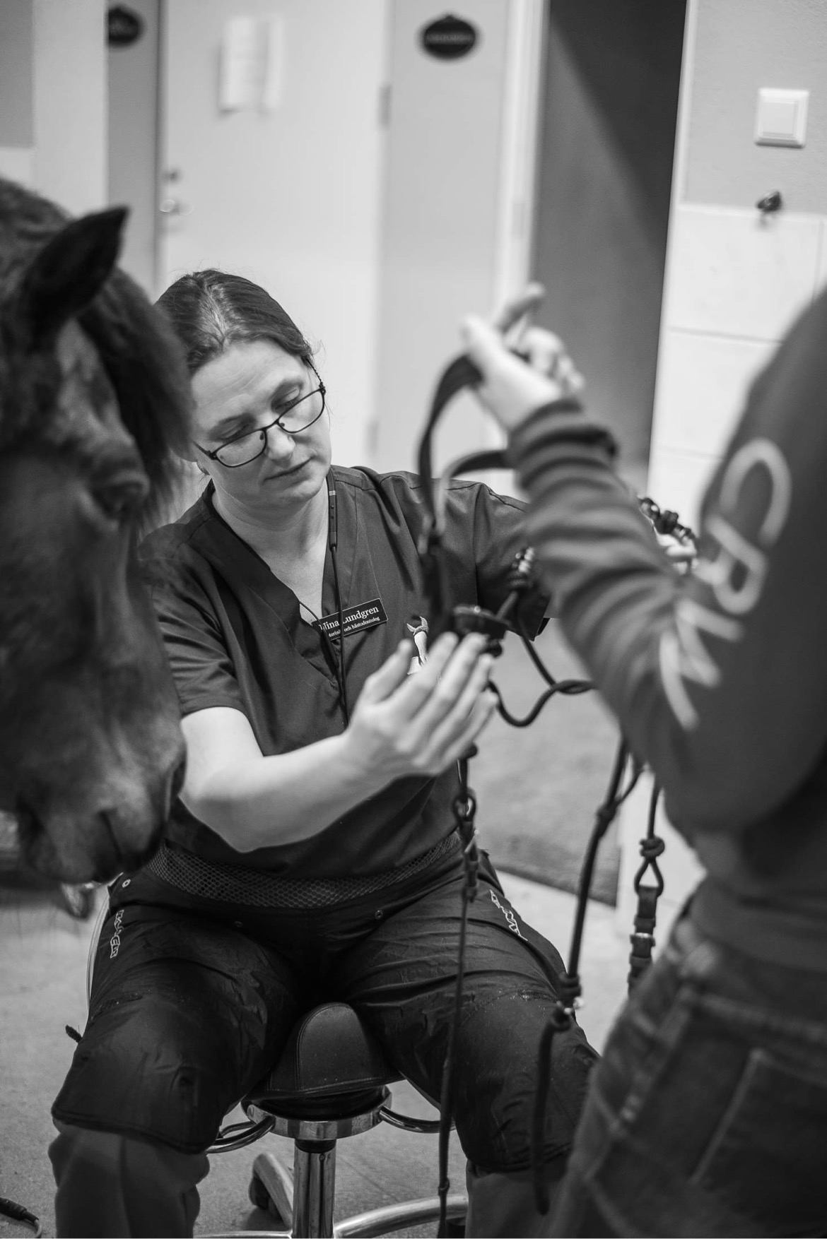 Som både veterinär och erfaren hästodontolog (alias hästtandläkare) kan man hjälpa ekipaget på många sätt